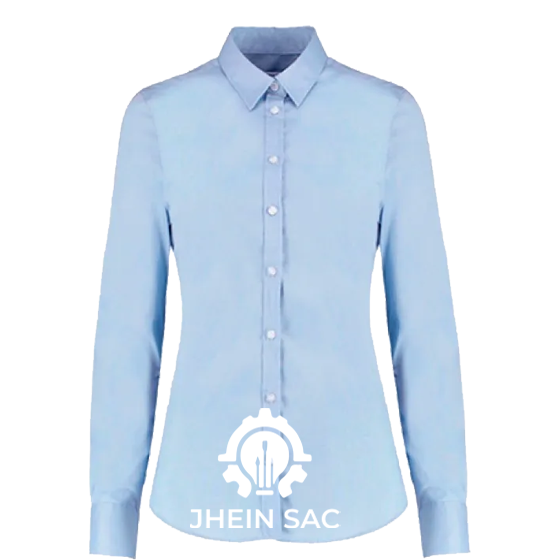 BLUSA OXFORT INPORTADO GREEN TEAM CELESTE BB